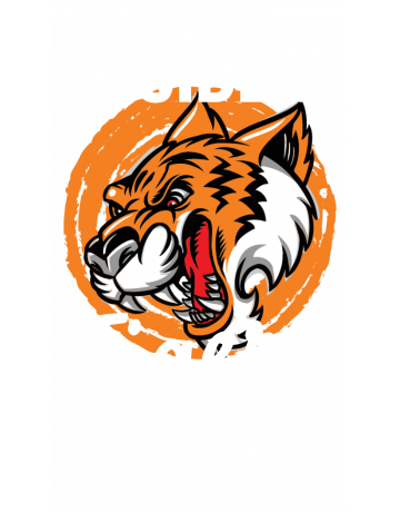 Tigers supporter