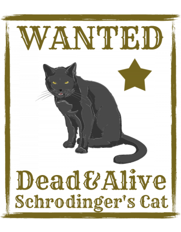 Wanted cat