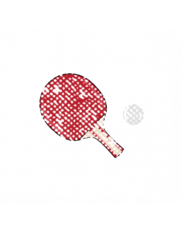Ping pong master