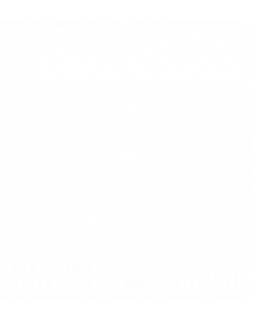 Road trip warrior