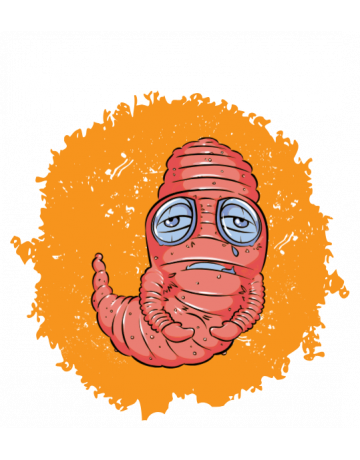 Book worm