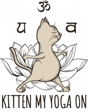 Yoga kitty
