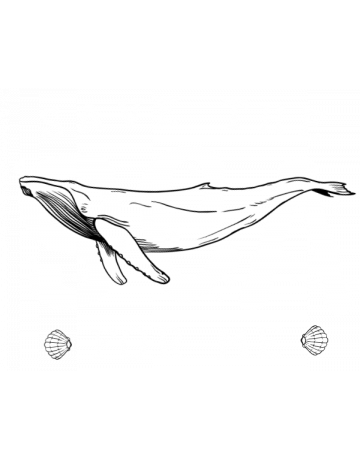 Save the sea for me
